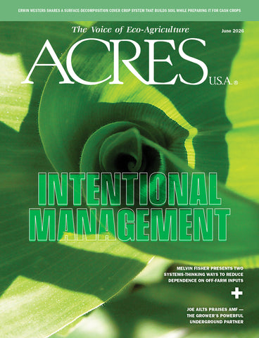 June 2026 Issue