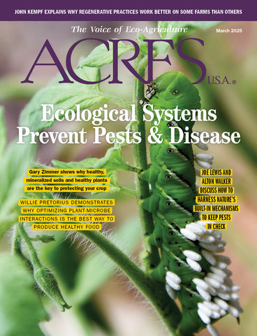 March 2025 Issue