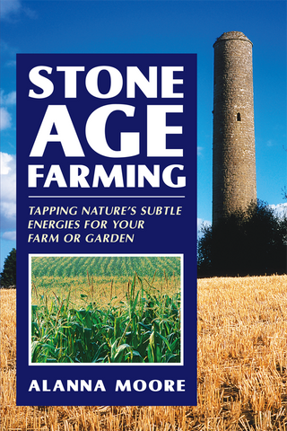 Stone Age Farming