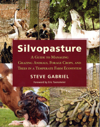 Silvopasture