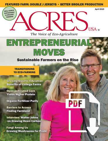 April 2019 Issue PDF