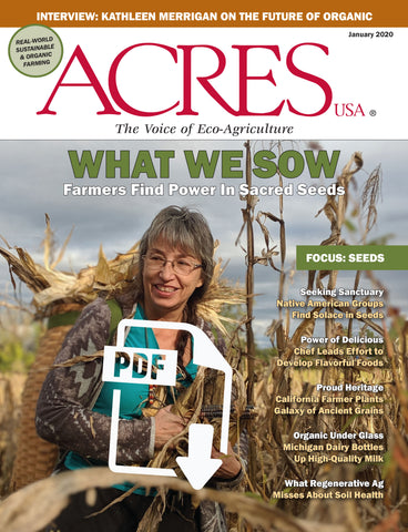 January 2020 Issue PDF