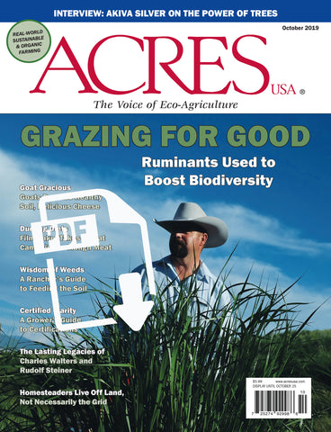 October 2019 Issue PDF