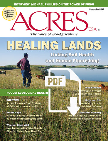September 2019 Issue PDF