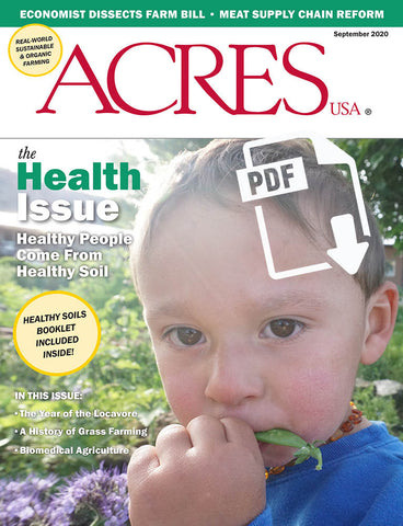 September 2020 Issue PDF