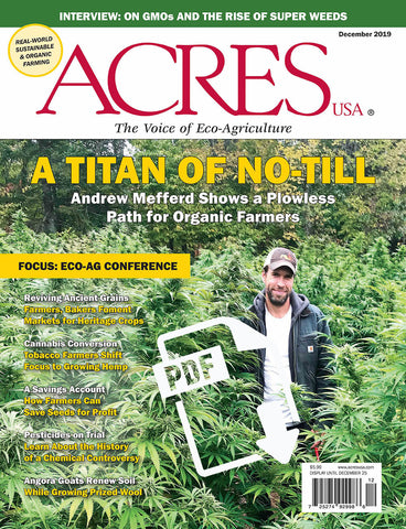 December 2019 Issue PDF