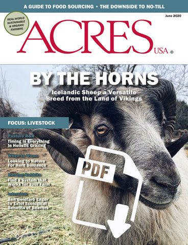 June 2020 Issue PDF