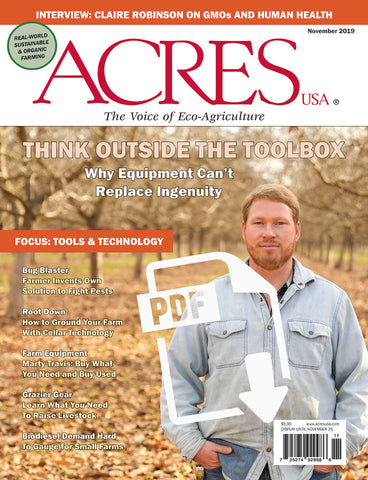 November 2019 Issue PDF