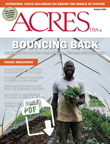 October 2020 Issue PDF