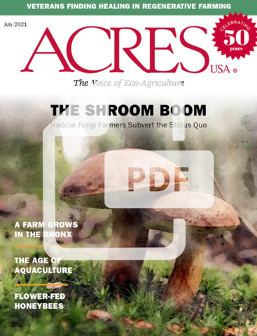 July 2021 Issue PDF