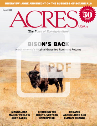 June 2021 Issue PDF