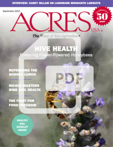 September 2021 Issue PDF